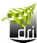 Logo DRI